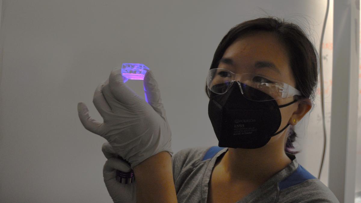 Researcher holding Solar Luminescent concentrator 